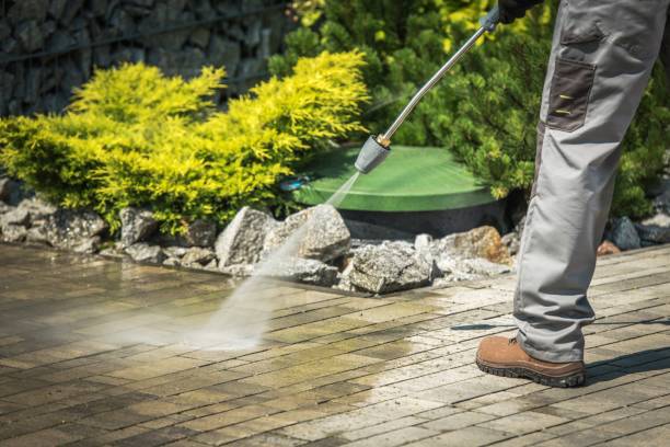 Best Vinyl Siding Pressure Washing in North Browning, MT